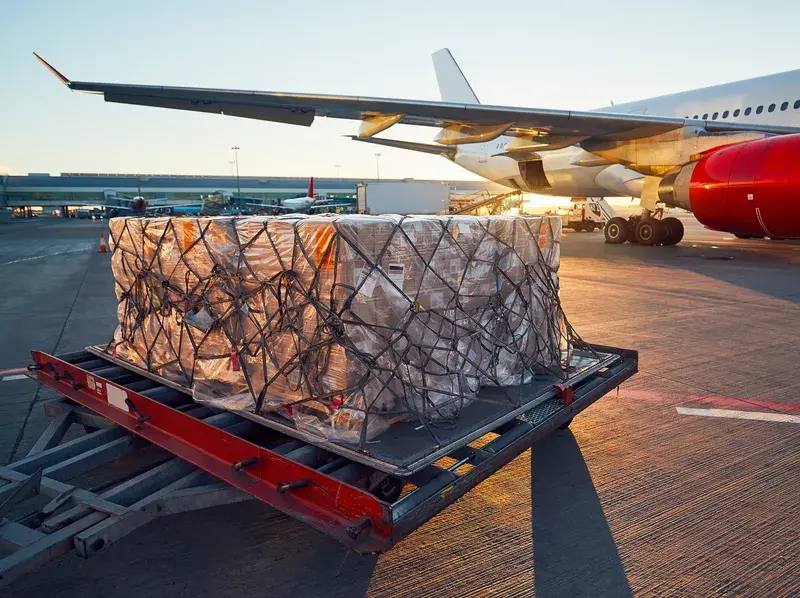 Netted air cargo pallet staged beside a wide-body freighter aircraft at sunrise